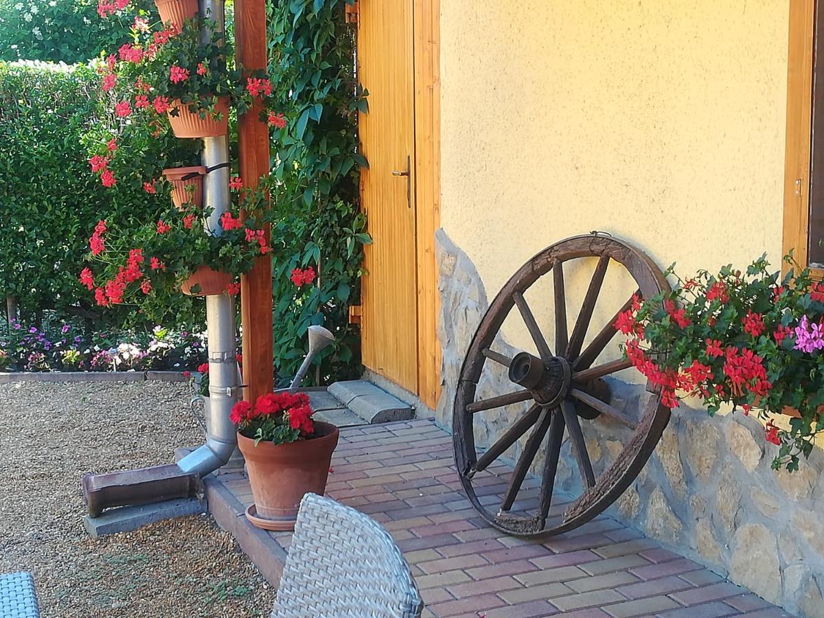 Ferienwohnung Muskatlis Haz Balatonlelle Exterior foto