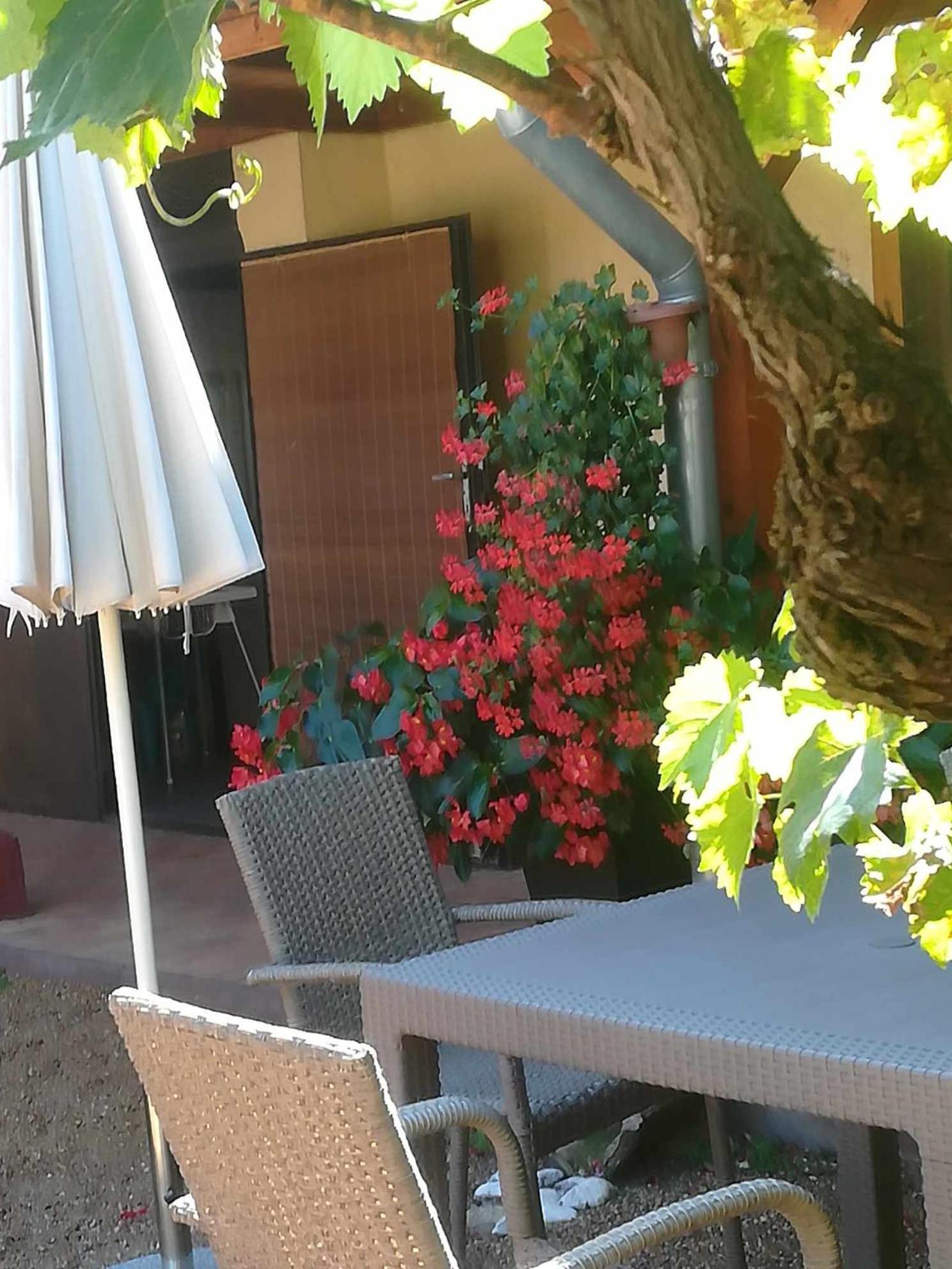 Ferienwohnung Muskatlis Haz Balatonlelle Exterior foto